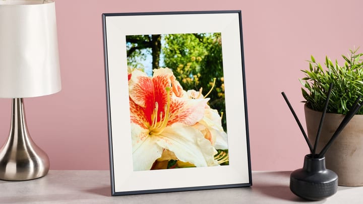 TechRadar Buying Guide: Best Digital Photo Frames for Home Display