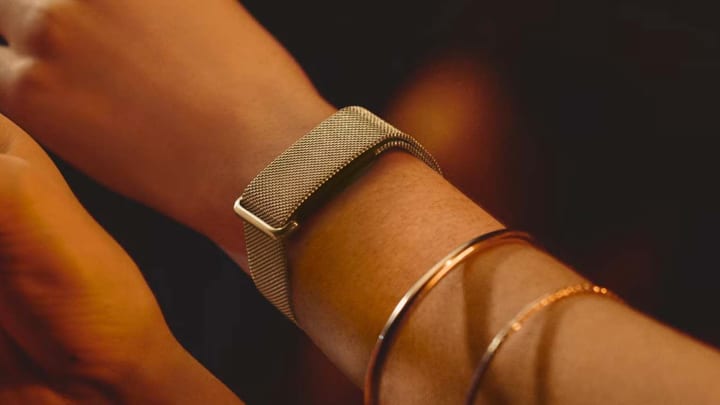 Fitbit Air Metal Mesh band