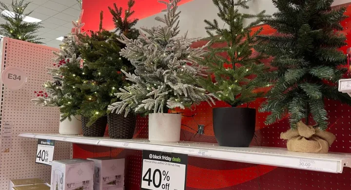 Target Wondershop Christmas Kitchen & Decor Release + Reported Targeted 10% Off Circle Bonus