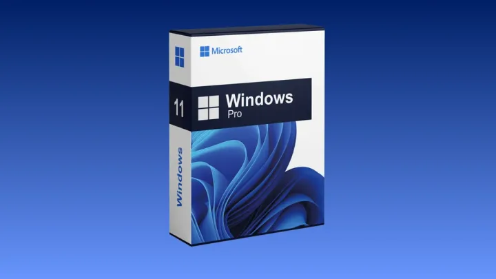 Microsoft Windows 11 Pro license