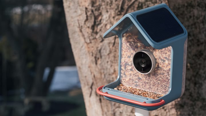 Birdbuddy Home smart bird feeder