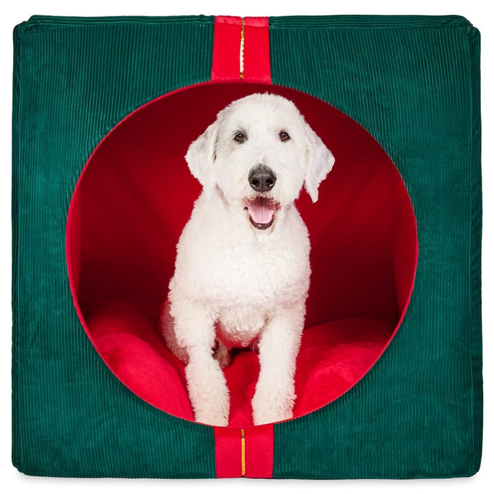Walmart Highlights Clearance and Flash Deals on Select Pet Supplies