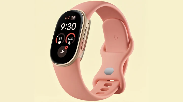 Google Fitbit Edge